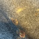 선사크리닝 | 분당 실내크리닝 : 폭스바겐 골프 실내를 쾌적한 공간으로 크리닝!
