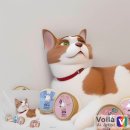 금동이PC | voila 어플로 고양이 카툰으로 만들어본 후기