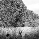 억새풀농장 이미지