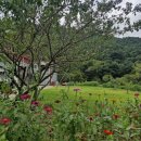 큰밭농원 이미지