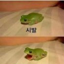 호텔 아크로 | 오사카 아크로 캡슐 호텔 추천 여자 혼자 5박 일정 후기