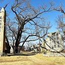 남산공원길1 이미지