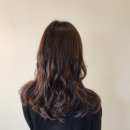 마샬미용실 | 동탄미용실 살롱드 마샬 동탄2호점 후기 :: 펌도 서비스도 너무 만족스러웠던 Goat 하리 디자이너 선생님
