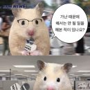 반짝반짝 - 남양주시 경춘로 390 | 반짝반짝