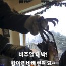 서울바베큐 | 서울 근교 양평 고기 맛집 대디스 바베큐 주말 방문 후기