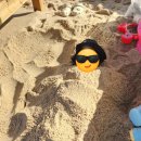 세븐일레븐 강릉사천진리점 | 강릉 사천진해수욕장 아이와 함께한 여유로운 강릉바다