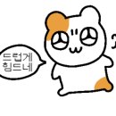 티티에스(TTS)월곶점 이미지