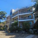 소나무 황토빌 이미지