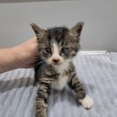 학산동물병원 이미지