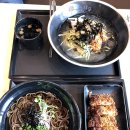 국수나무속초