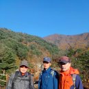 구곡2리 마을회관 네이버블로그