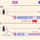 눈사랑 안경원 이미지