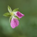 안평보건지소 이미지