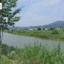 은행유치원 이미지