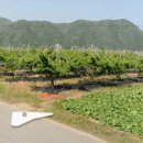 신라부동산중개사무소 이미지