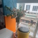 도토리플스 이미지