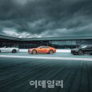 블루카모터스 이데일리