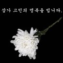 ***부고*** 501 정회원 김회광 (찐빵)님의 모친상 이미지