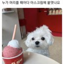 로제커피