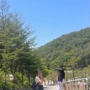 커먼 브리즈