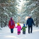 명대솔밭공원 화장실 | 수령 250년 된 100그루 노송의 고요함, 보은 임한리 솔밭공원의 겨울 풍경