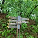 가마치통닭 태안점 | 태안반도 2일차, 가야산 우중산행도 죽도 슬리퍼 트레킹도 다 좋아.