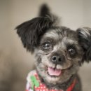 (주)퍼스트케어 이미지