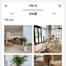 몽몽드림 이미지