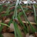 별이농장 이미지