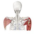 이도한의원 이미지