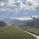 백운동원림안내소 이미지