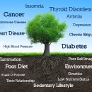더기능가정의학과의원 이미지