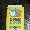 김포 동물병원 치료해주오 이미지