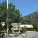 오캄 | 연천 오캄캠핑장 후기_개별 화장실로 편하고, 불멍하기 좋은 힐링 캠핑장🌲