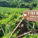 전 기황후 릉 터 이미지