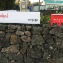 제주폴리폴리 이미지