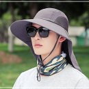 페도라T