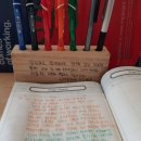 제트라인 이미지