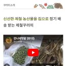 우리지금여기 | 영화 '바로 지금 여기' 감상 후기