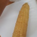 석지농장 이미지