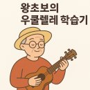 우쿨렐레(강좌번호 : 2 ) | 왕 초보의 우쿨렐레 도전기｜서대문 50플러스 센터 2일차 후기