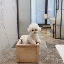 지니하우스왁싱앤태닝