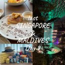 스카이티 | 싱가포르(4) 알릴라 코타이파루 체크아웃 · 쥬얼창이 & 창이공항 면세점 Day.8