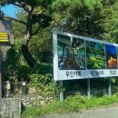 경북애견 | 경북 경주 애견동반가능 캠핑장 캠프 포레스트 시설 후기