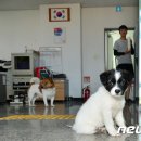 해경파출소옆 이미지