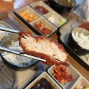 용인기흥ICT밸리 B블럭 | 용인 기흥 ICT 밸리 돈까스 맛집 도투카츠 안심카츠 내돈내산 찐추천 후기
