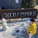 남이섬설리조트3 이미지