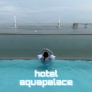 광안리 관광숙박 | [부산여행/광안리숙소] 호텔 아쿠아펠리스 인피니티풀 패키지 광안대교 뷰 숙소 내돈내산 솔직후기