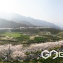 화개장터 이미지