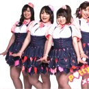 (소리 有)일본 "대형" 신인 여자 아이돌그룹 Pottya(포챠/P♥ttya) 이미지